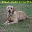 Nella